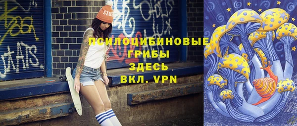 молекула духа Нефтекумск