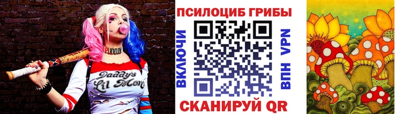 Галлюциногенные грибы Psilocybe  Новомичуринск 
