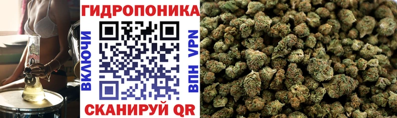 МАРИХУАНА VHQ  блэк спрут ССЫЛКА  Новомичуринск  купить  